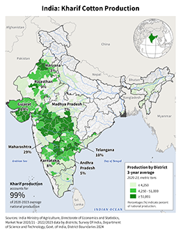 images\IN\seasonalmap\IND_Kharif_Cotton_preview.png